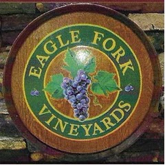 EagleForkVineyards240X240